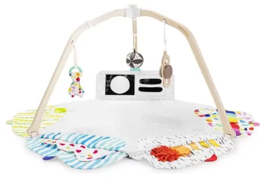 The Play Gym by Lovevery Stage-Activity Gym & Play Mat